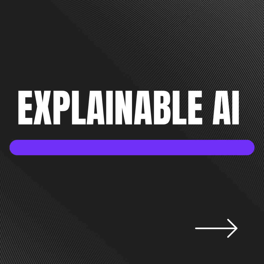 Explainable AI (XAI)